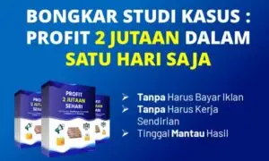 Bongkar Strategi Profit 2 Jutaan Dalam Sehari