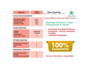 Paket Basic Digital Marketing Galaxi Agency